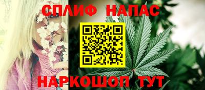 spice Усть-Джегута