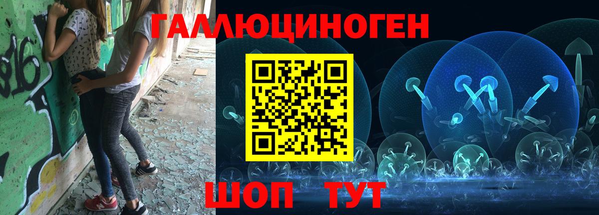 где купить наркотик  Вход с VPN  Лесосибирск  Псилоцибиновые грибы GOLDEN TEACHER 